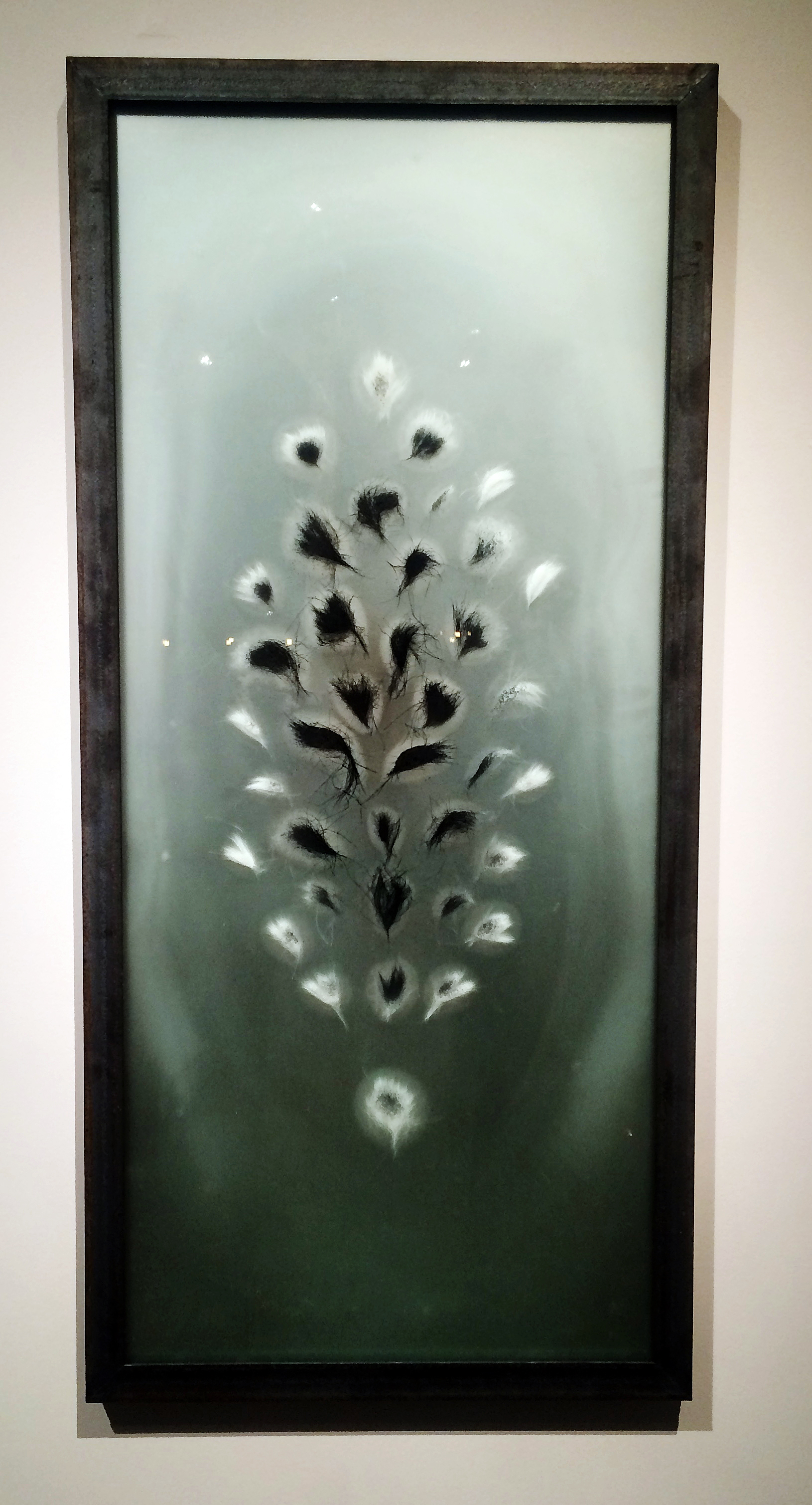 sharyn-omara-botanical-4-carbon-burnout-drawing-on-glass2016